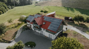 BodenSEE Apartment Neukirch Goppertsweiler HASE